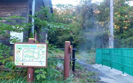 ���R�T���H