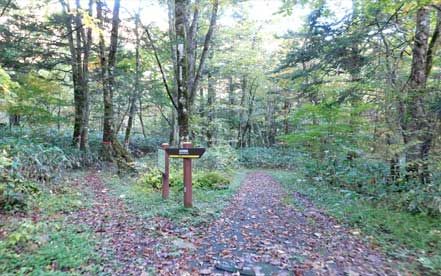 ���R�T���H