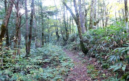 ���R�T���H