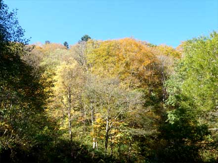 ����158��