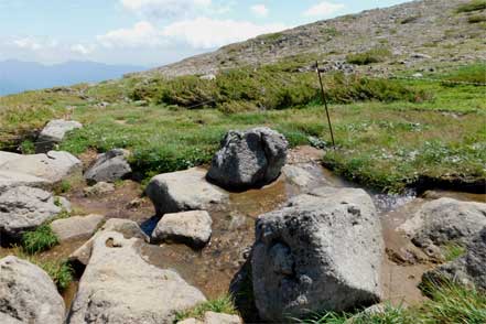 登山道