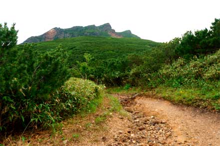 登山道