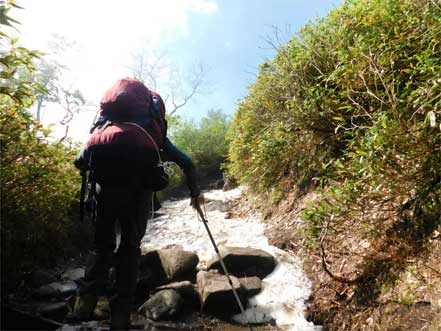 登山道