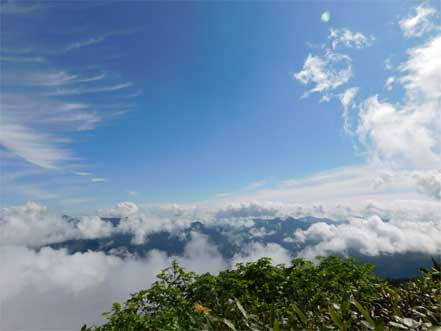 登山道から