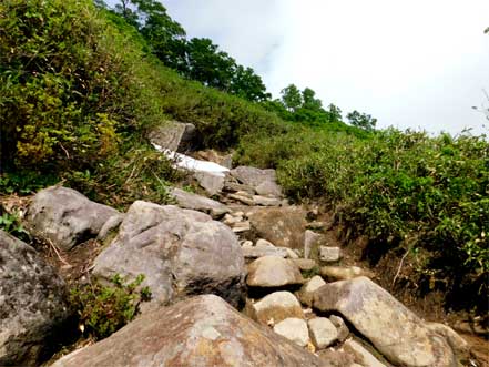 登山道