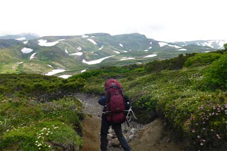 登山道