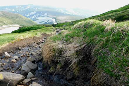 登山道