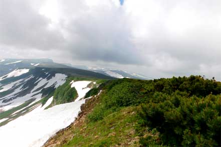 高根ヶ原