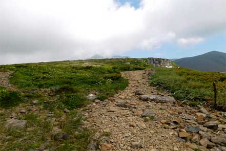 高根ヶ原分岐