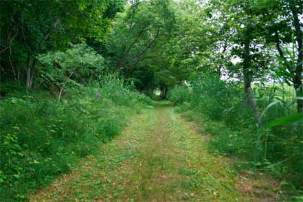 釧路湿原探勝歩道