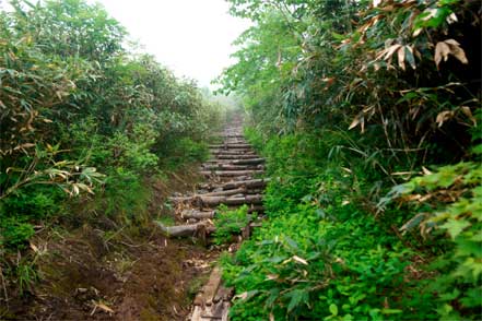 登山道