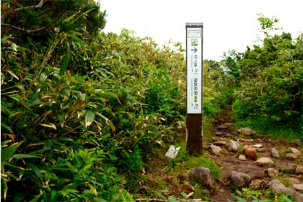 沼ノ平分岐