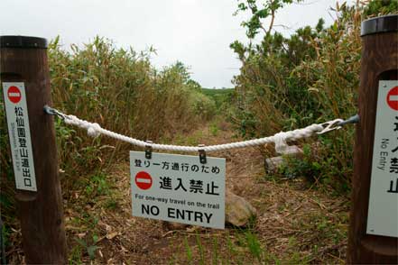 八島分岐