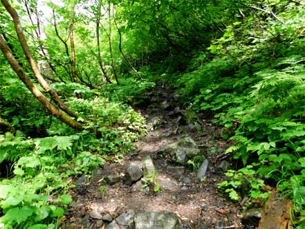 登山道