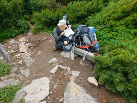 登山道