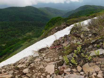 雪渓