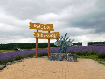 日の出ラベンダー園