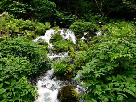 湧水口