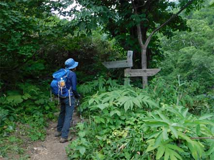 白竜の滝分岐