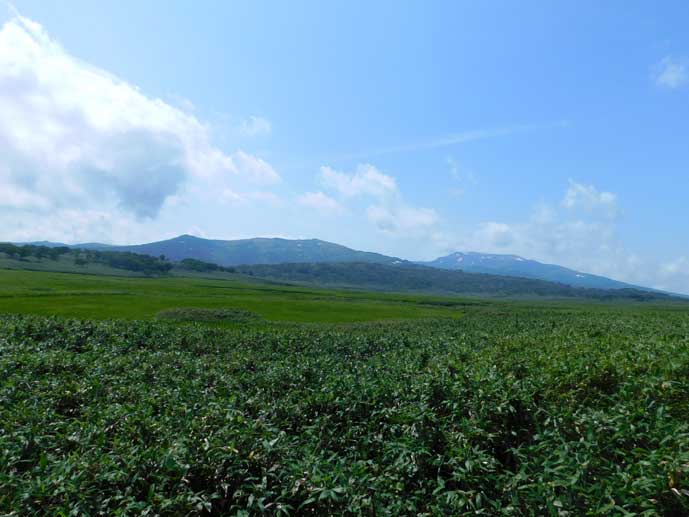 南暑寒岳、暑寒別岳