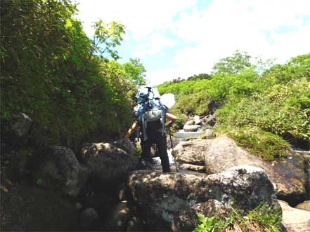 登山道