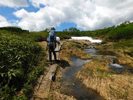 登山道