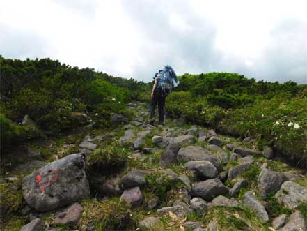 登山道