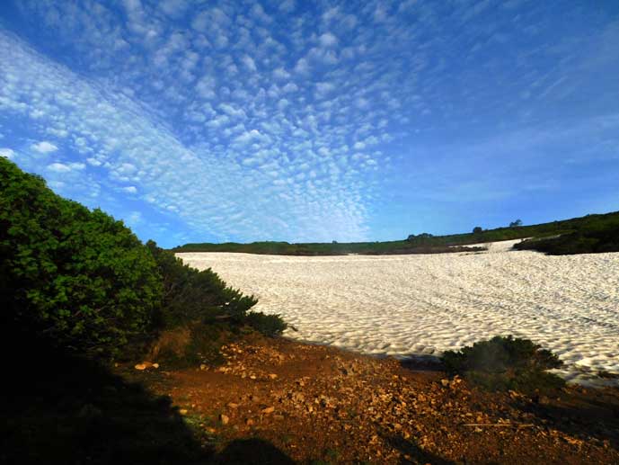 忠別岳キャンプ場