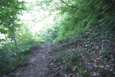 新長坂コース登山道