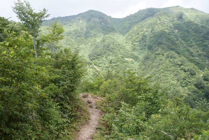 松平峠