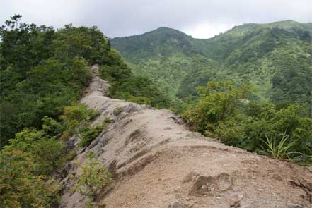 登山道