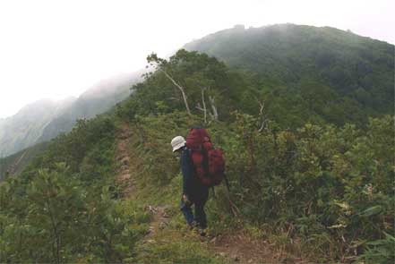 登山道