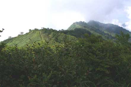 疣岩山へ