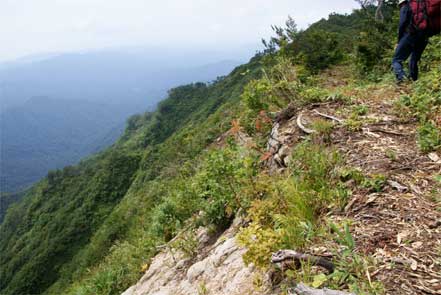 登山道