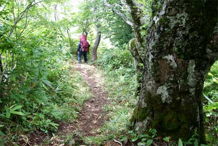 登山道