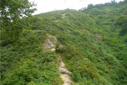 登山道上方向