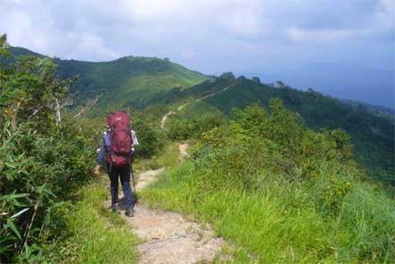 登山道