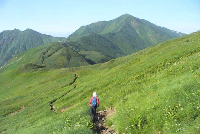 大日岳への登山道