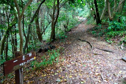 一息峠