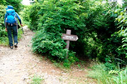 大脇自然歩道分岐