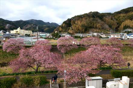 役場庁舎展望デッキ