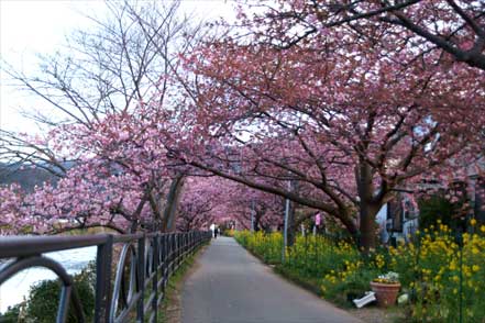 河津川