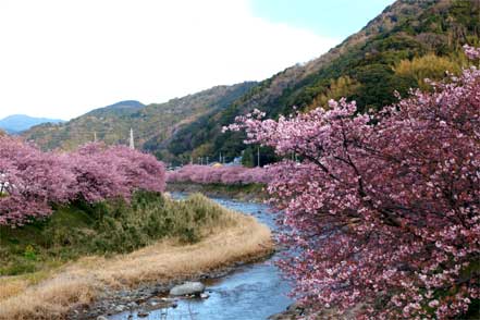 河津川