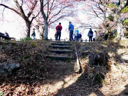 河津城跡公園