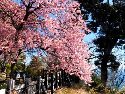 河津城跡公園