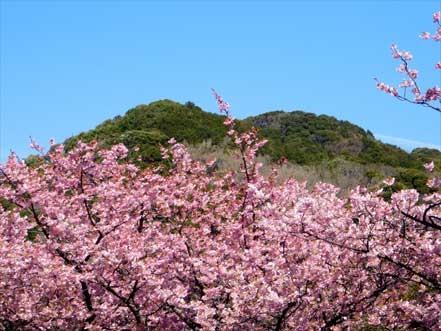 踊り子温泉