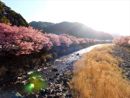 峰小橋