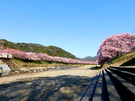 河津川