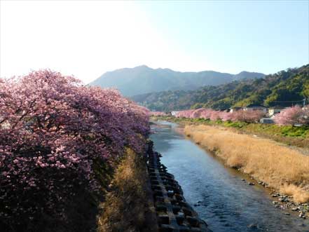 河津川