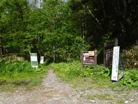 焼岳登山口